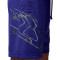 Pantaloncini Jordan Sport
