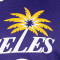 Maglietta Nike Los Angeles Sparks WNBA Cameron Brink Explorer Edition Swingman da Bambino