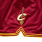 Pantaloncini Mitchell & Ness NBA Dark Shorts Cavaliers 2015