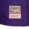 Maglietta Mitchell & Ness Name & Number Tee Raptors Carter