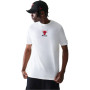 Chicago Bulls NBA Logo-White