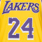 Maglia Nike Los Angeles Lakers Authentic Icon Edition Kobe Bryant