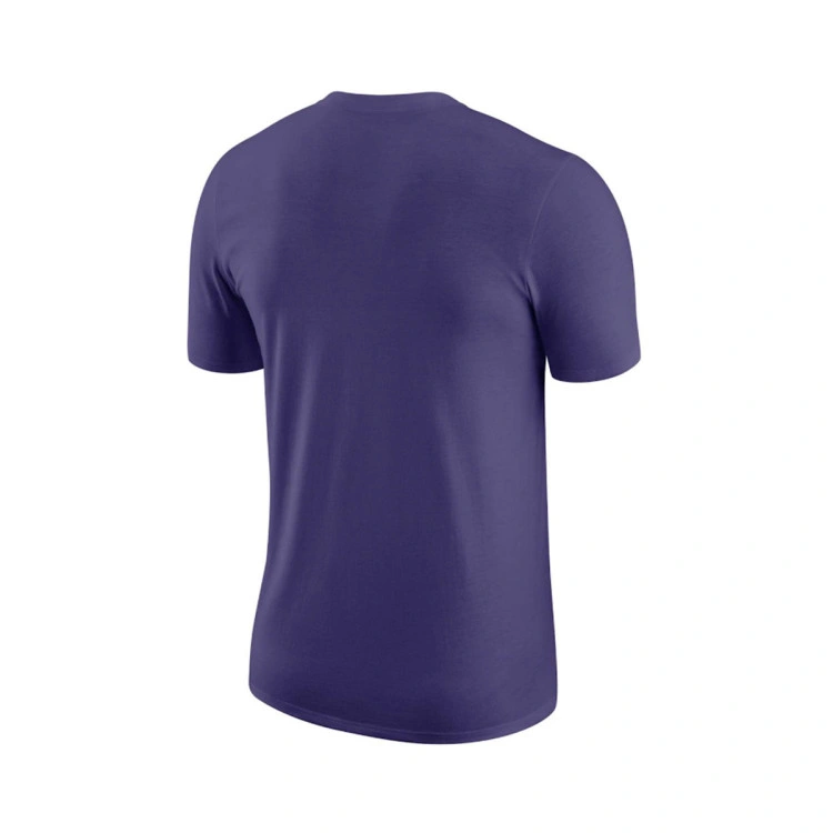 camiseta-nike-phoenix-suns-essential-logo-new-orchid-1