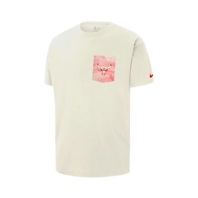Maglietta Chicago Bulls Courtside WB Max90 PKT
