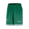 Pantaloncini Nike Boston Celtics DNA Woven
