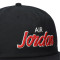 Cappello Jordan Pro Brand Essential