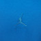 Maglietta Jordan Flight Essentials Oversize