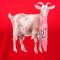 Maglietta Jordan Goat Crew