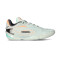 Scarpe Li - ning Way Of Wade  808 5 Ultra Dizzy