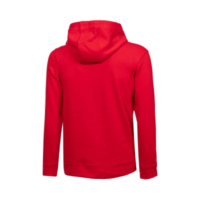 Felpa Chicago Bulls Club Fleece da Bambino