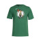 Maglietta Nike Boston Celtics Essential Logo da Bambino