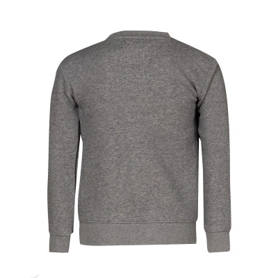 Felpa Brooklyn Fleece Essential Crew età prescolare