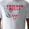 Maglietta New Era Chicago Bulls NBA Flame Graphic