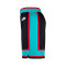 Pantaloncini Nike Memphis Grizzlies Swingman Hardwood Classics 2025-2026