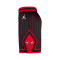 Pantaloncini Jordan Chicago Bulls Swingman Statement Edition