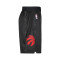 Pantaloncini Nike Toronto Raptors Swingman City Edition