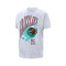 Maglietta Nike Memphis Grizzlies Hardwood Classics Champions 
