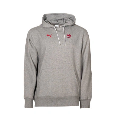 Felpa Baskonia Fanwear 2025-2026