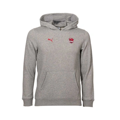 Felpa Baskonia Fanwear 2025-2026 da Bambino