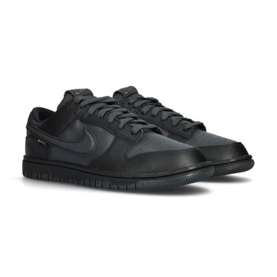 Scarpe Dunk Low Gore-Tex