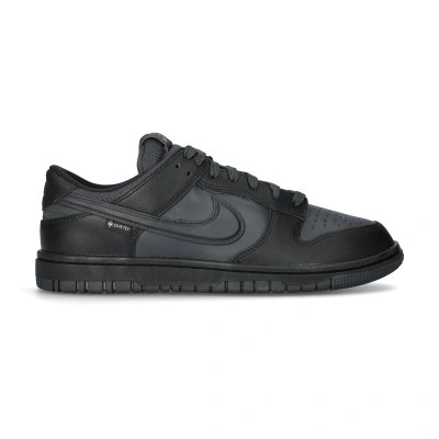 Scarpe Dunk Low Gore-Tex