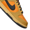 Scarpe Nike Dunk Low Gore-Tex