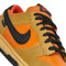 Scarpe Nike Dunk Low Gore-Tex