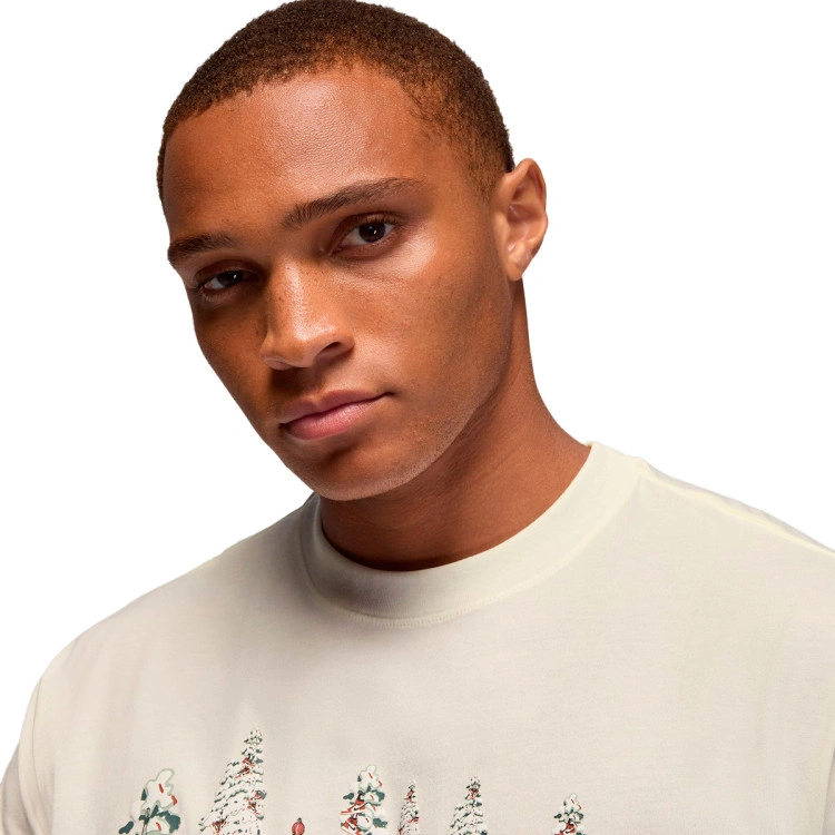 camiseta-jordan-brooklyn-holiday-graphic-crew-sail-redstone-4