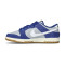 Scarpe Nike Dunk Low Retro SE