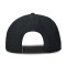 Cappello Jordan Pro