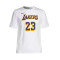 Maglietta Nike Los Angeles Lakers Association Edition Lebron James da Bambino
