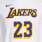 Maglietta Nike Los Angeles Lakers Association Edition Lebron James da Bambino