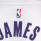 Maglietta Nike Los Angeles Lakers Association Edition Lebron James da Bambino