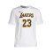 Maglietta Nike Los Angeles Lakers Association Edition Lebron James da Bambino