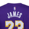 Maglietta Jordan Los Angeles Lakers Essential Statement Edition Lebron James da Bambino