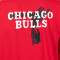 Felpa Nike Chicago Bulls Club Premium Courtside da Bambino