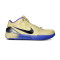 Scarpe Nike Kobe 4 Protro FCB