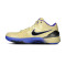 Scarpe Nike Kobe 4 Protro FCB