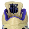 Scarpe Nike Kobe 4 Protro FCB