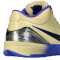 Scarpe Nike Kobe 4 Protro FCB