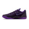 Scarpe Nike Kobe 9 Elite Low EM Protro Purple Dynasty
