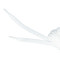 Lacci Unbranded Cordones Planos