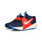 Scarpe Nike Team Hustle D 12 Preescolar