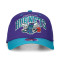Cappello Mitchell & Ness Charlotte Hornetts Team Arch Classic Red