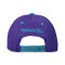 Cappello Mitchell & Ness Charlotte Hornetts Team Arch Classic Red
