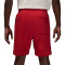Pantaloncini Jordan Brooklyn Fleece