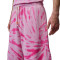 Pantaloncini Jordan Brooklyn Festival Fleece