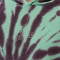 Felpa Jordan Brooklyn Festival Tie Dye Fleece