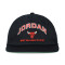 Cappello Jordan Pro Cap Unstructured Flat Bird