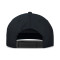 Cappello Jordan Pro Cap Unstructured Flat Bird